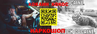 шишки Изобильный