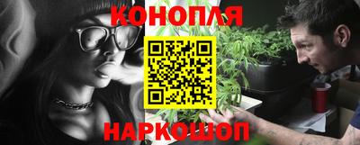 шишки Изобильный