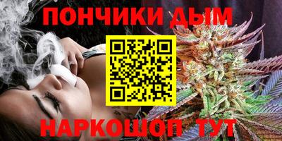шишки Изобильный