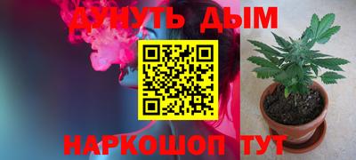 шишки Изобильный