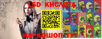 шишки Изобильный