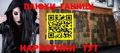шишки Изобильный