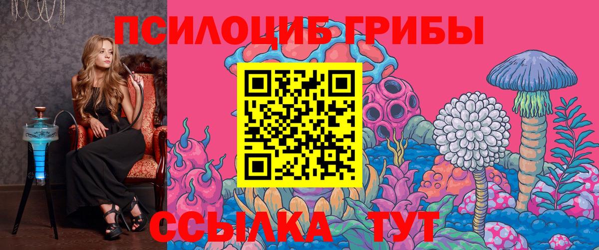 Галлюциногенные грибы GOLDEN TEACHER Георгиевск