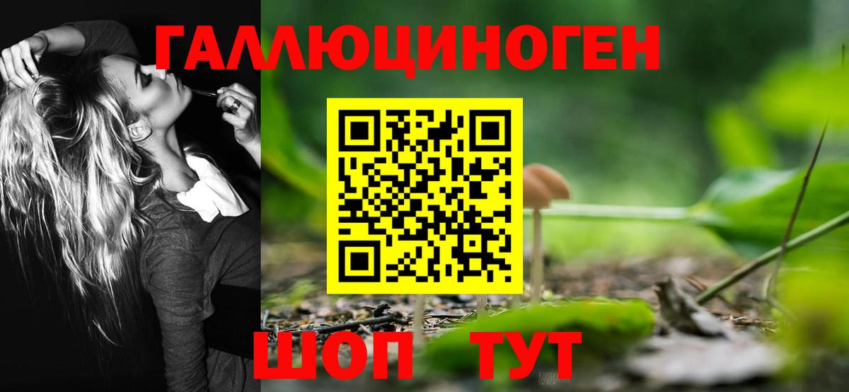 Галлюциногенные грибы Magic Shrooms  Георгиевск 