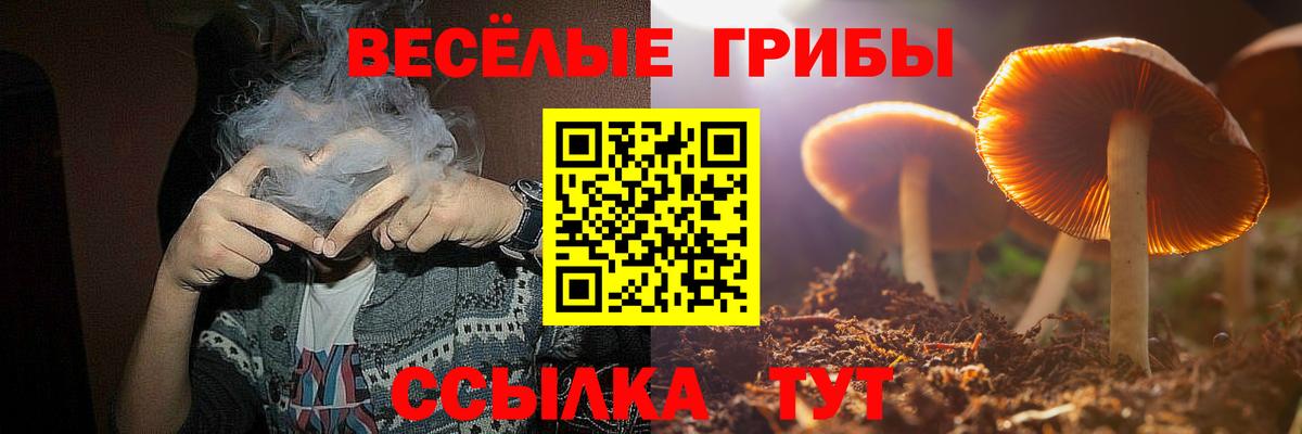 Псилоцибиновые грибы прущие грибы  Псилоцибиновые грибы Cubensis  Вход с VPN  Георгиевск 