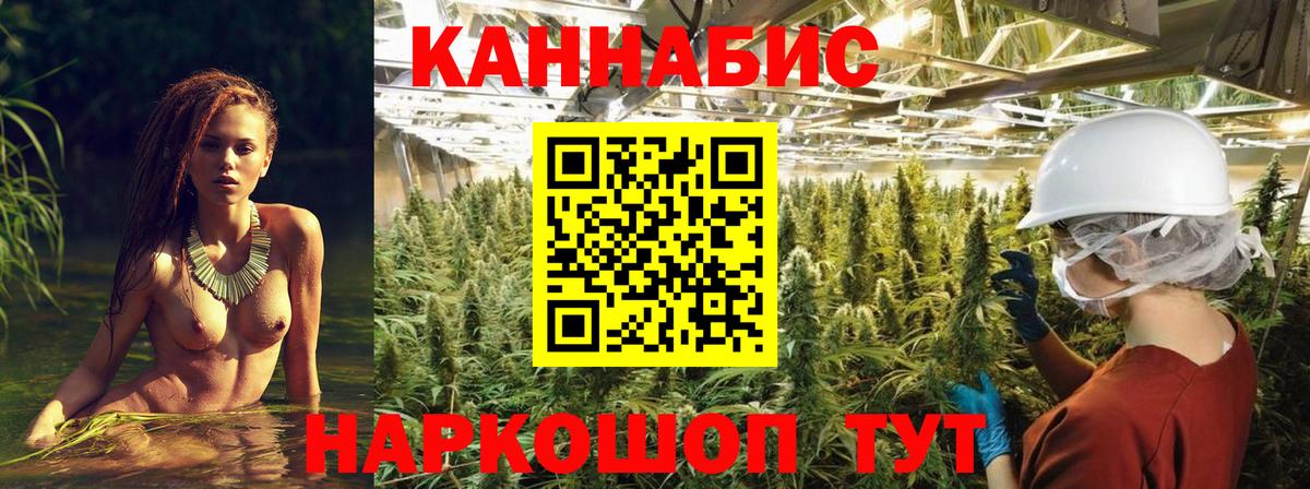 Георгиевск  Конопля SATIVA & INDICA  Конопля ГИДРОПОН  МАРИХУАНА White Widow  Вход с VPN 